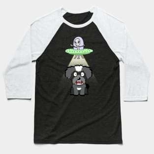 Funny miniature schnauzer is being abducted by aliens Baseball T-Shirt